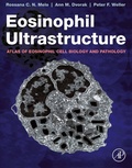 Bild: Eosinophil Ultrastructure - Academic Press