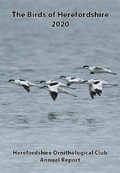 Cover: The Birds of Herefordshire 2020 - Herefordshire Ornithological Club