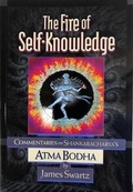 Cover: The Fire of Self Knowledge - YOGALAND Ltd