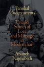Cover: Familial Undercurrents - De Gruyter