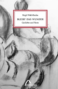 Abbildung von: Bleibt das Wunder - stellaplan