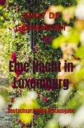 Cover: Eine Nacht in Luxemburg - Bookmundo Direct