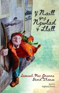 Cover: Y Naill yng Ngwlad y Llall - Taith Gwyddel yng Nghymru; Taith Cymry yn Iwerddon - Gwasg Carreg Gwalch