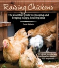 Cover: Raising Chickens - Kyle Books