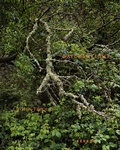 Cover: J. John Priola - Kehrer Verlag