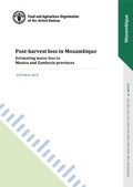 Cover: Post-harvest loss in Mozambique - Food & Agriculture Organization of the United Nations (FAO)
