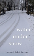 Cover: Water Under Snow - Resource Publications (CA)
