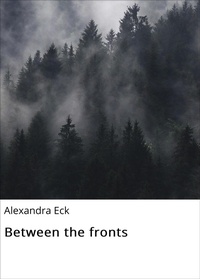 Enlarge image Cover: Between the fronts - neobooks