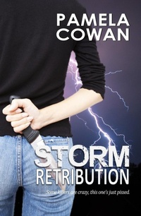 Enlarge image Cover: Storm Retribution - Windtree Press