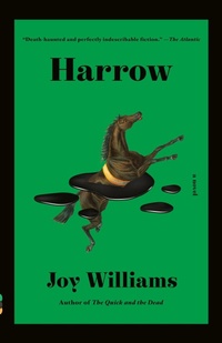 Enlarge image Cover: Harrow - Vintage Books