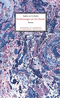 Cover: Erscheinungen am See Oneida - Wehrhahn Verlag