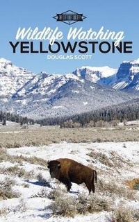 Enlarge image Cover: Wildlife Watching - Blurb