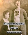 Cover: The Impossible Uprooting - Doft Ivanovitch Books