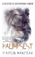 Cover: Palimpsest - Ghost Orchid Press