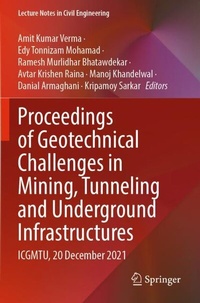 Abbildung von: Proceedings of Geotechnical Challenges in Mining, Tunneling and Underground Infrastructures - Springer