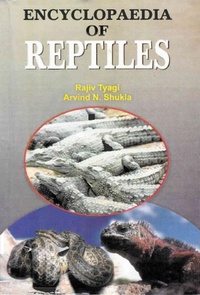 Abbildung von: Encyclopaedia of Reptiles (Ruling Reptiles) - Anmol Publications PVT LTD