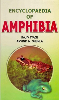 Abbildung von: Encyclopaedia of Amphibia (Amphibian Sex Organs) - Anmol Publications PVT LTD