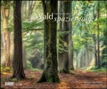 Cover: Waldspaziergang 2023 - Fotokunst-Kalender - Querformat 60 x 50 cm - Spiralbindung - DuMont Buchverlag