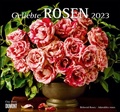 Cover: Geliebte Rosen 2023 - DUMONT Wandkalender - mit allen wichtigen Feiertagen - Format 38,0 x 35,5 cm - DuMont Buchverlag