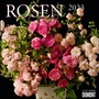 Cover: Rosen 2023 - Broschürenkalender - Format 30 x 30 cm - DuMont Buchverlag