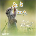 Cover: Sag es durch die Blume 2023 - Hamster, Eichh&ouml;rnchen, Zwiesel in Nahaufnahme - Wandkalender mit Spiralbindung - DUMONT Quadratformat 24 x 24 cm - DuMont Buchverlag