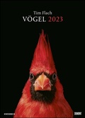 Cover: Tim Flach: V&ouml;gel 2023 - Posterkalender von DUMONT- Vogel-Portr&auml;ts von Tim Flach - Poster-Format 50 x 70 cm - DuMont Buchverlag