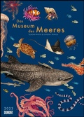 Cover: Das Museum des Meeres 2023 ? Posterkalender ? mit Illustrationen und vielen Erkl&auml;rungen ? Spiralbindung ? Format 50 x 70 cm - DuMont Kalenderverlag