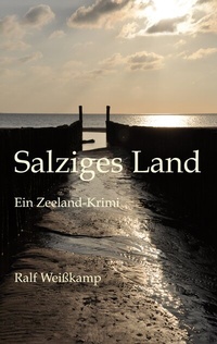 Abbildung von: Salziges Land - BoD - Books on Demand