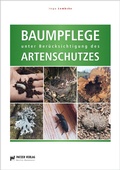 Cover: Baumpflege unter Ber&uuml;cksichtigung des artenschutzes - Patzer
