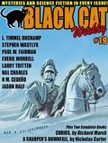 Cover: Black Cat Weekly #19 - Wildside Press