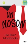 Cover: Stori Sydyn: Un Noson - Y Lolfa