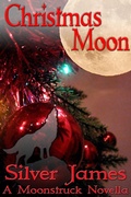Cover: Christmas Moon (Moonstruck, #7) - Silver James