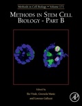 Cover: Methods in Stem Cell Biology - Part B: Volume 171 - Academic Press