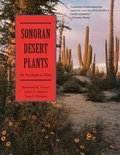 Bild: Sonoran Desert Plants - University of Arizona Press