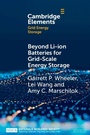 Cover: Beyond Li-ion Batteries for Grid-Scale Energy Storage - Cambridge University Press