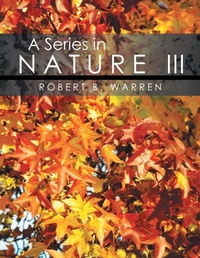 Enlarge image Cover: A Series in Nature III - Global Summit House