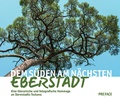 Cover: Dem S&uuml;den am n&auml;chsten: Eberstadt - Preface Book
