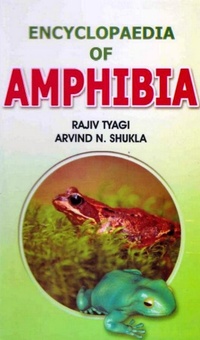 Abbildung von: Encyclopaedia of Amphibia (Regeneration in Amphibia) - Anmol Publications PVT LTD