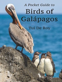 Abbildung von: A Pocket Guide to Birds of Galápagos - Princeton University Press