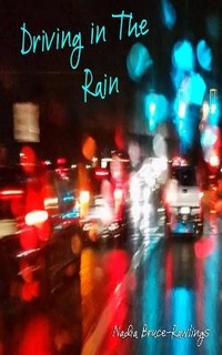 Enlarge image Cover: Driving in The Rain - Punk Hostage Press