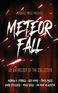 Enlarge image Cover: Meteor Fall - Cloaked Press, LLC