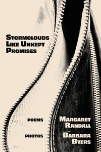 Enlarge image Cover: Stormclouds Like Unkept Promises - Casa Urraca Press