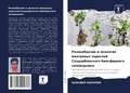 Cover: Raznoobrazie i &auml;kologiq mangrowyh zaroslej Sundarbanskogo biosfernogo zapowednika - Sciencia Scripts