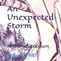 Cover: An Unexpected Storm - 978-0-473-61249-8