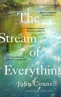 Abbildung von: The Stream of Everything - Gill Books