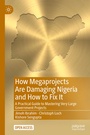 Cover: How Megaprojects Are Damaging Nigeria and How to Fix It - Palgrave Macmillan