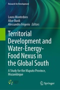 Cover: Territorial Development and Water-Energy-Food Nexus in the Global South - Springer