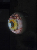 Cover: Tony Oursler. SPECULAR - Verlag f&uuml;r Moderne Kunst