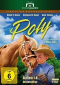 Cover: Poly - Fernsehjuwelen