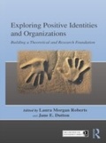 Cover: Exploring Positive Identities and Organizations - Psychology Press Ltd